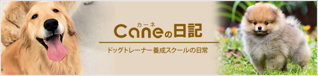 Caneの日記