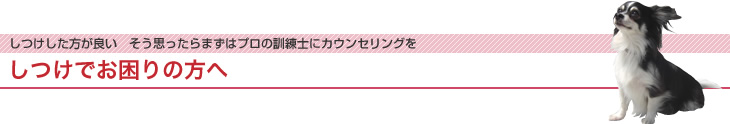 犬のしつけでお困りの方へ
