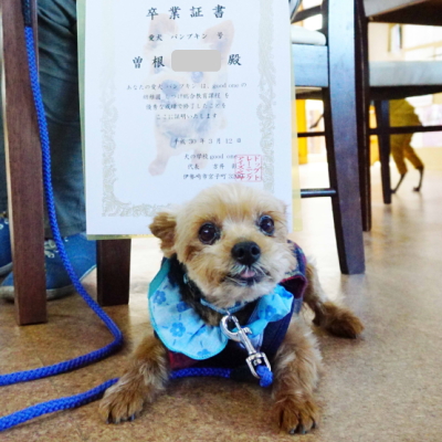 佐藤こなつちゃん