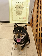 神坂アスクくん