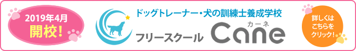 ドッグトレーナー・犬の訓練士養成 フリースクールcane