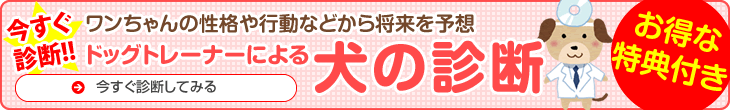 ドッグトレーナーによる犬の診断