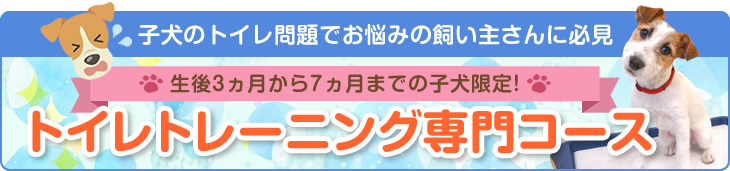 子犬のトイレ問題でお悩みの飼い主さんに必見　トイレトレーニング専門コース