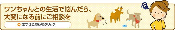 ワンちゃんとの生活で悩んだら思いつめる前にご相談を