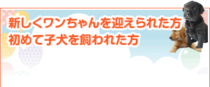 新しくワンちゃんを迎えられた方、初めて子犬を飼われた方へ