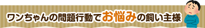 ワンちゃんの問題行動でお困りの飼い主様