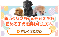 初めて子犬を飼われた方へ