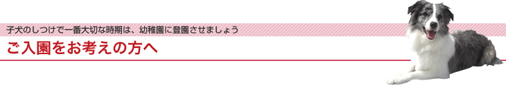 ご入園をお考えの方へ