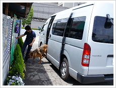 犬の幼稚園通学バス