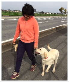 大型犬のしつけ