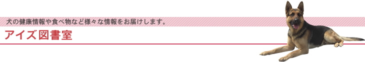 アイズ新聞