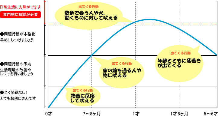 平均的なタイプ