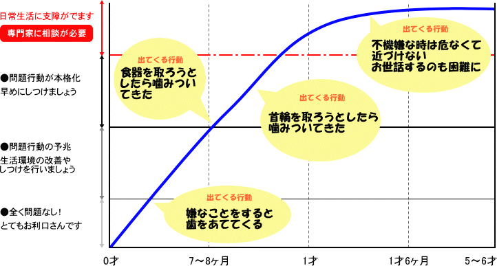 噛み癖が出るタイプＡ