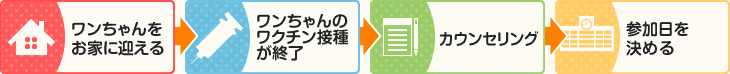 パピー教室に参加するための流れ