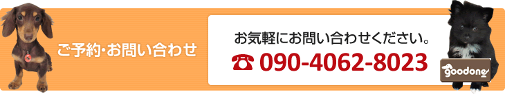 パピー教室のご予約・お問い合わせは 090-4062-8023 まで