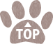 TOPへ戻る