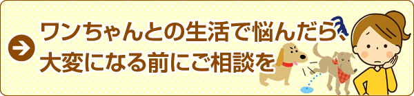 ワンちゃんとの生活で悩んだら、たいへんになる前にご相談を