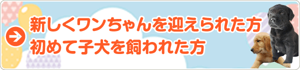 新しくワンちゃんを迎えられた方　初めて子犬を飼われた方