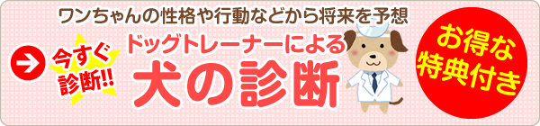 ドッグトレーナーによる犬の診断