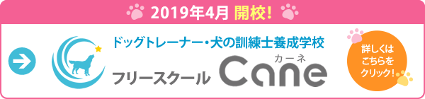 ドッグトレーナー・犬の訓練士養成 フリースクールcane