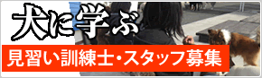 見習い訓練士・スタッフ募集