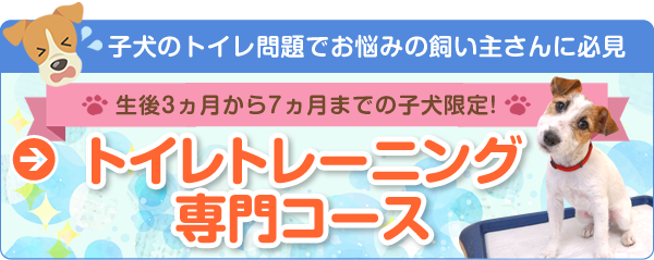 子犬のトイレ問題でお悩みの飼い主さんに必見　トイレトレーニング専門コース