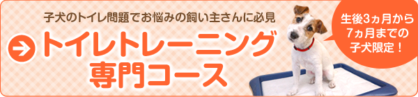 子犬のトイレ問題でお悩みの飼い主さんに必見　トイレトレーニング専門コース