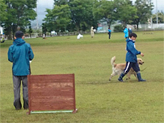 競技会の風景