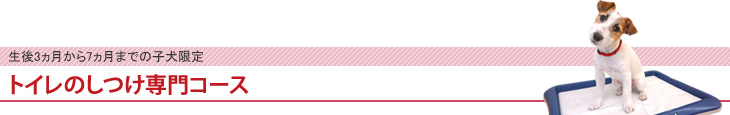 トイレのしつけ専門コース
